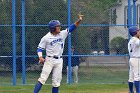 Baseball vs MIT  Wheaton College Baseball vs MIT during NEWMAC Championship Tournament. - (Photo by Keith Nordstrom) : Wheaton, baseball, NEWMAC